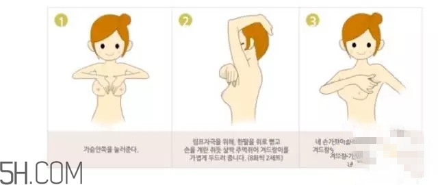 常見的豐胸湯有哪些？女人豐胸湯有哪些？