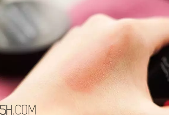 絲芙蘭柔光氣墊粉底液多少錢？絲芙蘭柔光氣墊腮紅多少錢？
