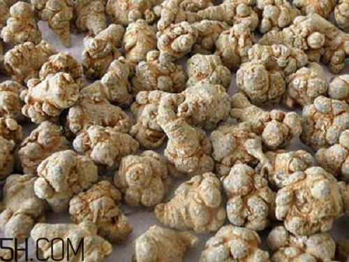 三七粉苦的好還是不苦的好？三七粉越苦越好嗎？