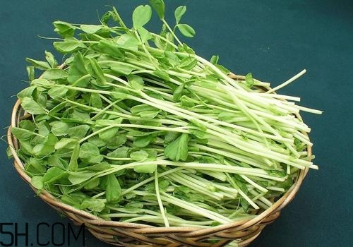 女性吃什么能瘦臉？能瘦臉的食物有哪些？