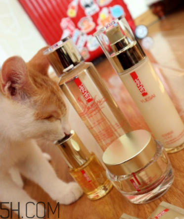 羽西蟲草新肌水有什么功效？適合什么膚質(zhì)？