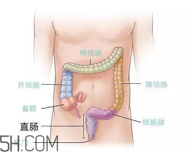 宿便有什么危害？如何清除宿便？