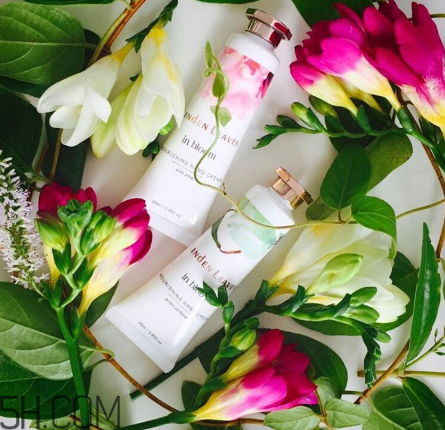 linden leaves香氛護(hù)手霜好用嗎？laura ashley護(hù)手霜好用嗎？