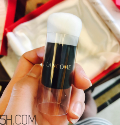 蘭蔻菁純氣墊粉底液110號色適合黃皮嗎？真人試色