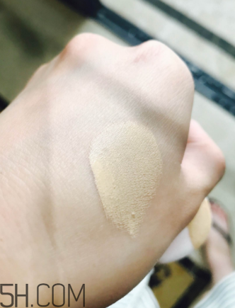 蘭蔻菁純氣墊粉底液110號色適合黃皮嗎？真人試色