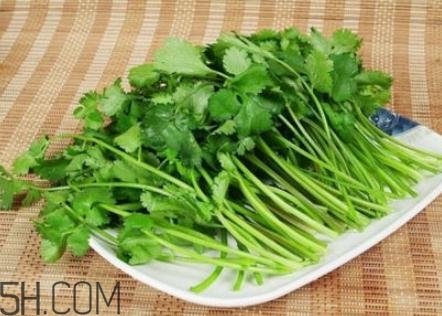 香菜根煮水怎么煮？香菜根煮水喝幾天見效？