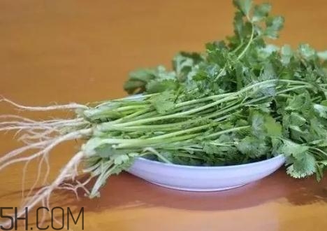 香菜根煮水能減肥嗎？香菜根煮水能天天喝嗎？
