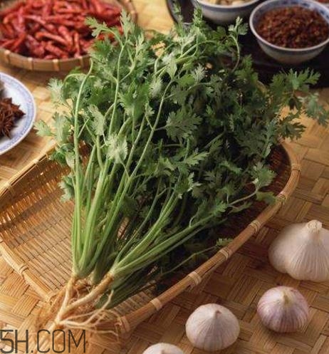 香菜根煮水能減肥嗎？香菜根煮水能天天喝嗎？
