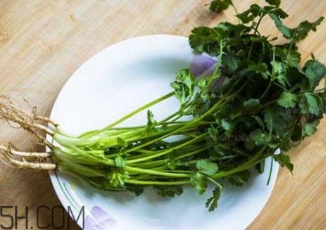 香菜根煮水能減肥嗎？香菜根煮水能天天喝嗎？