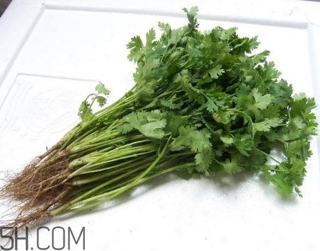香菜根煮水能美白嗎？香菜根煮水能祛斑嗎？