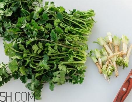 香菜根煮水能退燒嗎？香菜根煮水能治咳嗽嗎？