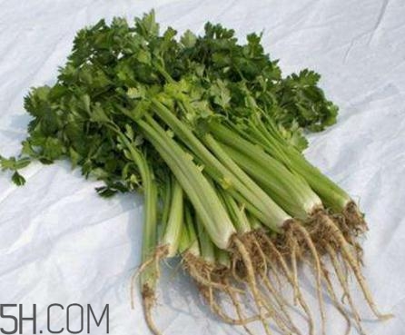香菜根煮水能退燒嗎？香菜根煮水能治咳嗽嗎？