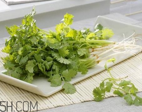 香菜根煮水能治濕疹嗎？香菜根煮水孕婦能喝嗎？