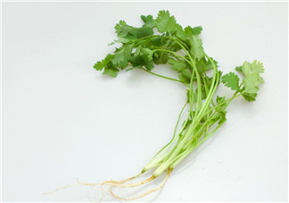 香菜根煮水能治濕疹嗎？香菜根煮水孕婦能喝嗎？