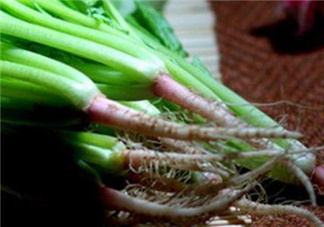 香菜根煮水能美白嗎？香菜根煮水能祛斑嗎？