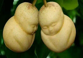 女人吃人參果有哪些好處？人參果的營(yíng)養(yǎng)價(jià)值是什么？