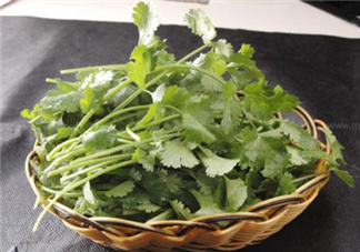 香菜根煮水能減肥嗎？香菜根煮水能天天喝嗎？