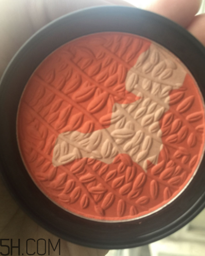 瑪麗黛佳腮紅怎么打？瑪麗黛佳腮紅怎么用？