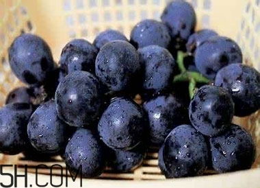 吃黑加侖對眼睛有什么好處？吃黑加侖要注意什么？