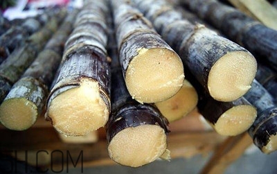 甘蔗和橙子能一起吃嗎？吃完甘蔗可以吃橙子嗎？