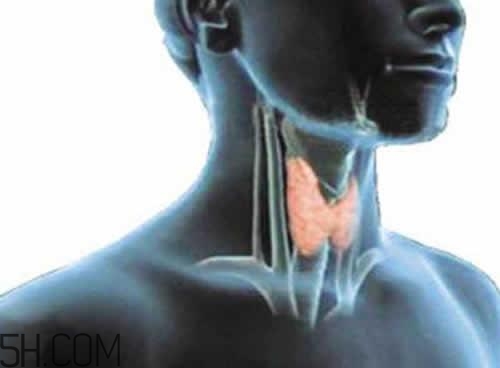 甲狀腺腫大和甲亢的區(qū)別有哪些？甲狀腺腫大適合吃什么食物？