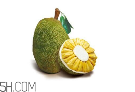 為什么吃菠蘿蜜拉肚子？吃菠蘿蜜拉肚子怎么辦？