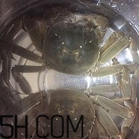 冬天可以吃大閘蟹嗎？冬天怎么吃大閘蟹？