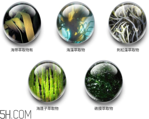 jmsolution珍珠面膜怎么用？jm珍珠珍珠面膜分為三部曲