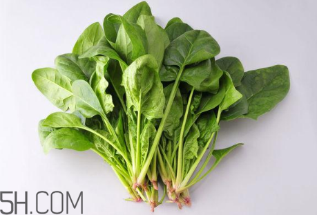 羊肉和菠菜能一起吃嗎？吃羊肉能吃菠菜嗎？