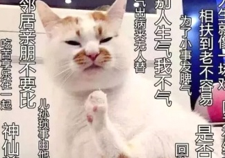 佛系妝是什么妝？佛系妝容輕松打造