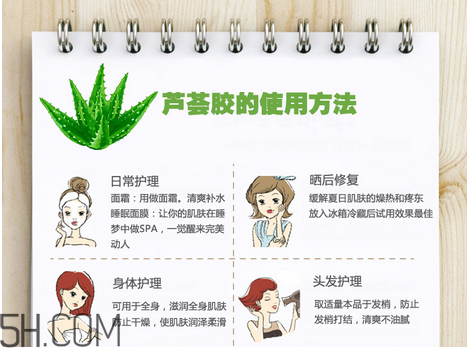 蘆薈膠的功效和作用有哪些？教你蘆薈膠的正確使用方法