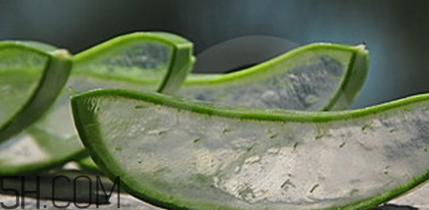 蘆薈膠祛痘效果好嗎？蘆薈膠真的會(huì)祛痘