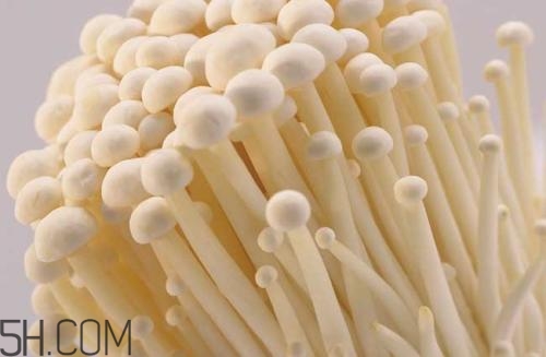 金針菇的食用禁忌有哪些？金針菇四大禁忌