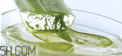 擠痘痘后可以涂蘆薈膠嗎？涂抹維生素e和蘆薈膠的作用