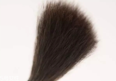 高光刷哪個(gè)牌子好？好用到哭的高光刷