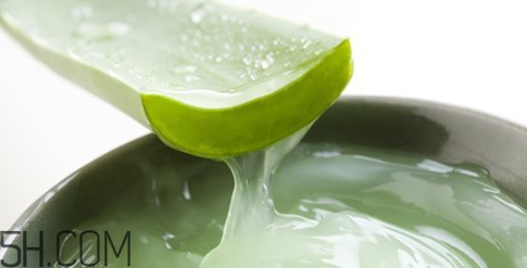 蘆薈膠吃了會(huì)怎樣？蘆薈膠的吃法