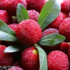 新鮮楊梅如何做酸梅湯？楊梅湯兩做法