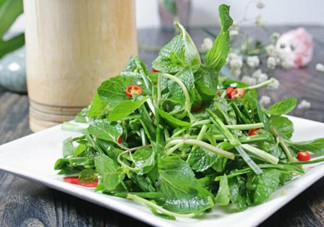 哪些中草藥可以當(dāng)菜吃？最常見(jiàn)的是這三種