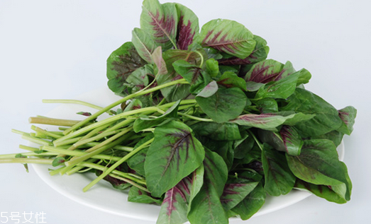 吃莧菜可以減肥嗎？減肥食物熱量排行榜