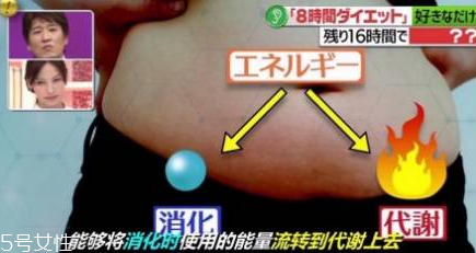 青汁一天喝幾袋最減肥？日本瘋傳的減肥飲食大法