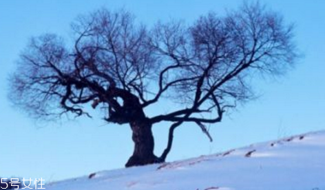 三九天最適合減肥的運(yùn)動有哪些？推薦三種減肥運(yùn)動