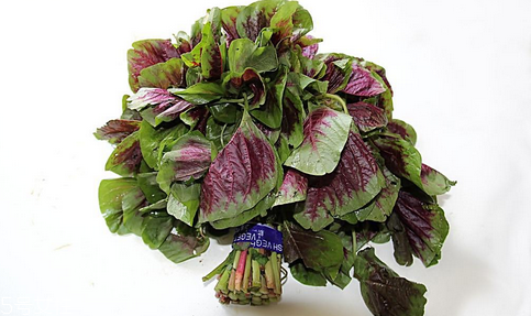 吃莧菜可以減肥嗎？減肥食物熱量排行榜