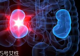 腎病為什么會發(fā)展到尿毒癥？這些因素一定要注意