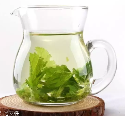 桑葉茶哪些人不能喝？過多飲用傷脾胃傷腎