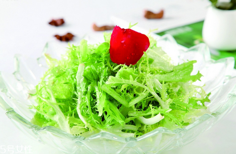 苦菊可以生吃嗎？營養(yǎng)健康苦菊菜做法