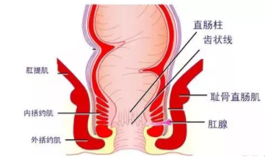 肛瘺非手術(shù)治療才可以嗎？手術(shù)是治療的關(guān)鍵途徑