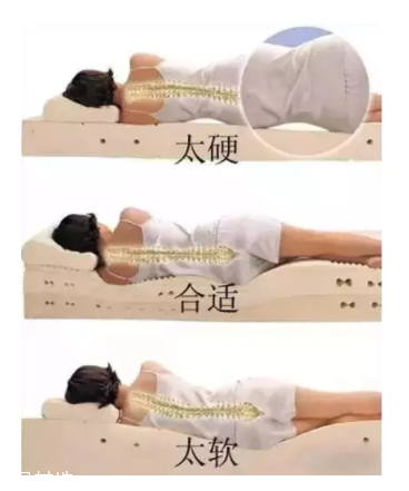 床越軟越好嗎？軟床導(dǎo)致駝背