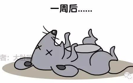 自然堂隔離霜孕婦可以用嗎？含有孕婦禁用成分