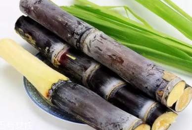 甘蔗的吃法有什么不同？吃法不同療效不同