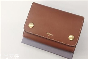 mulberry錢包多少錢？celine平價(jià)替代